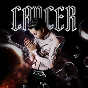 久久综合这里只有精品
