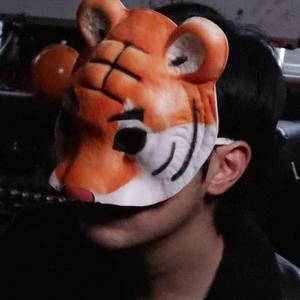 久久综合这里只有精品
