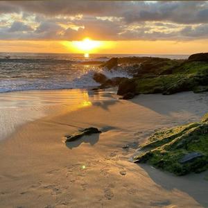 久久综合这里只有精品
