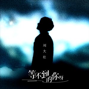 久久综合这里只有精品
