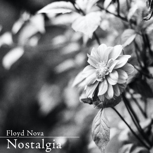 久久综合这里只有精品
