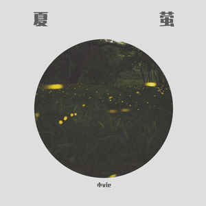 久久综合这里只有精品
